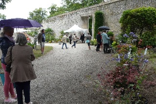 De nombreux visiteurs sont repartis avec des plantes pour leur jardin