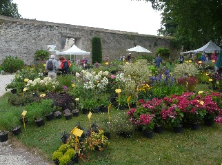 Des fleurs pour tous les gots