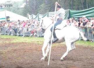 Quand une fte traditionnelle se transforme en festival questre